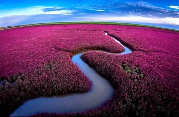 酒中诗仙李白,诗中日月酒中仙李白