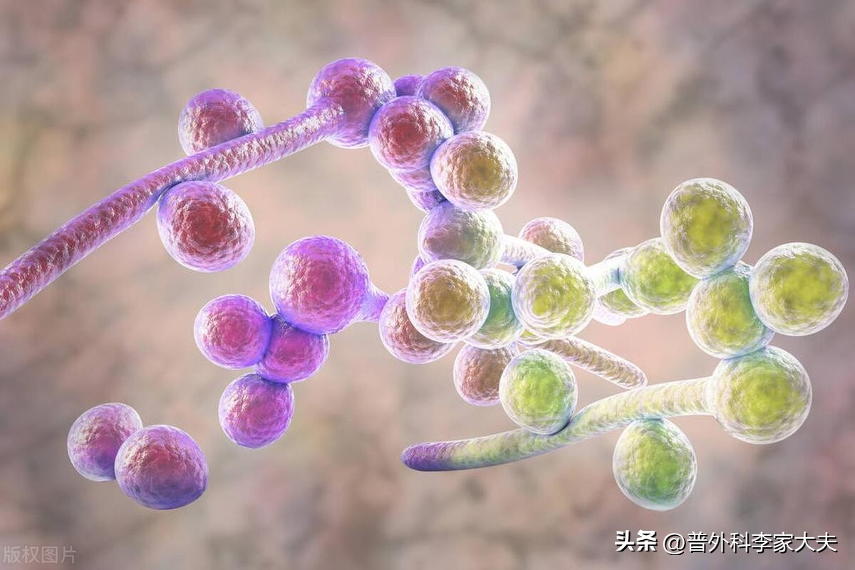 通过性传播的疾病有哪些,可以通过性传播的感染病有哪些