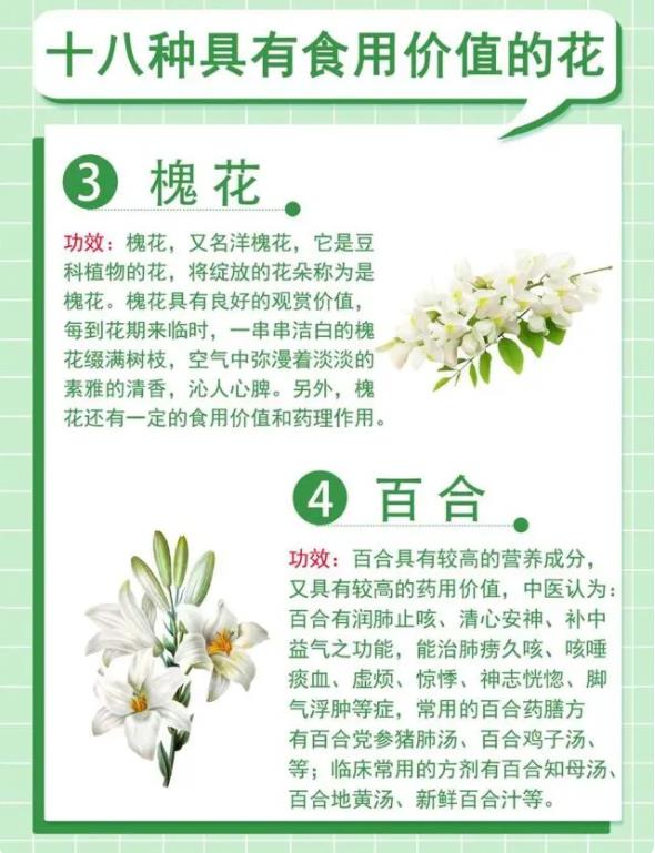 18种最漂亮的花草,18种必养的花