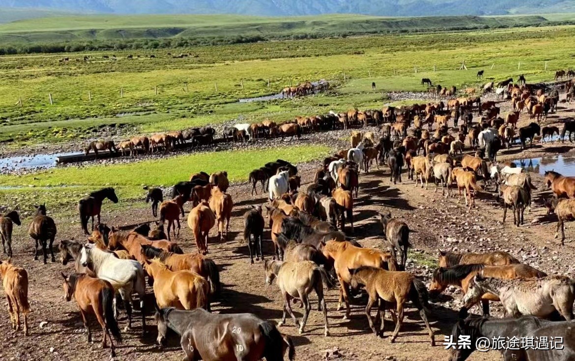 曾是通往世界的走廊，来河西，品一场文化之旅享受不同的视觉盛宴