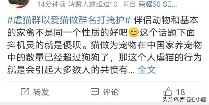 恶趣味！以爱猫为幌子售卖虐猫视频，10元30G，群内讨论虐猫手法