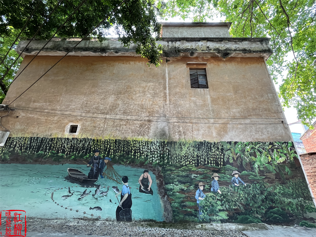 古村探寻｜广东佛山顺德一日打卡杏坛镇两个岭南水乡