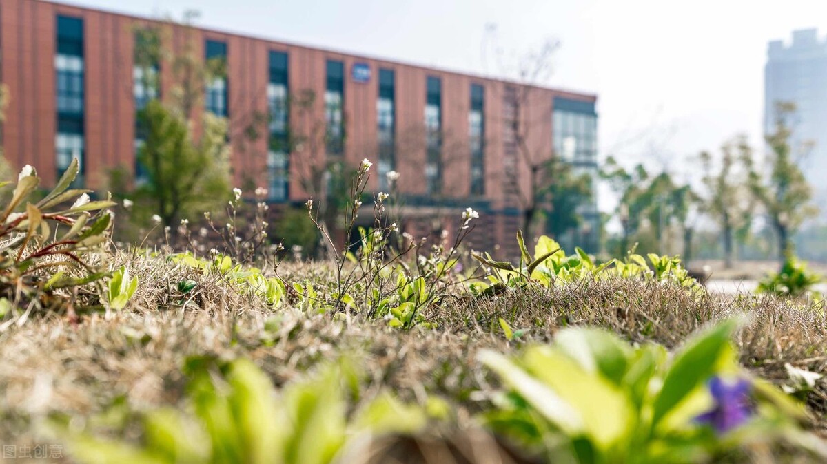 这两所独立院校拟转设更名,全国各省独立学院转设最新信息