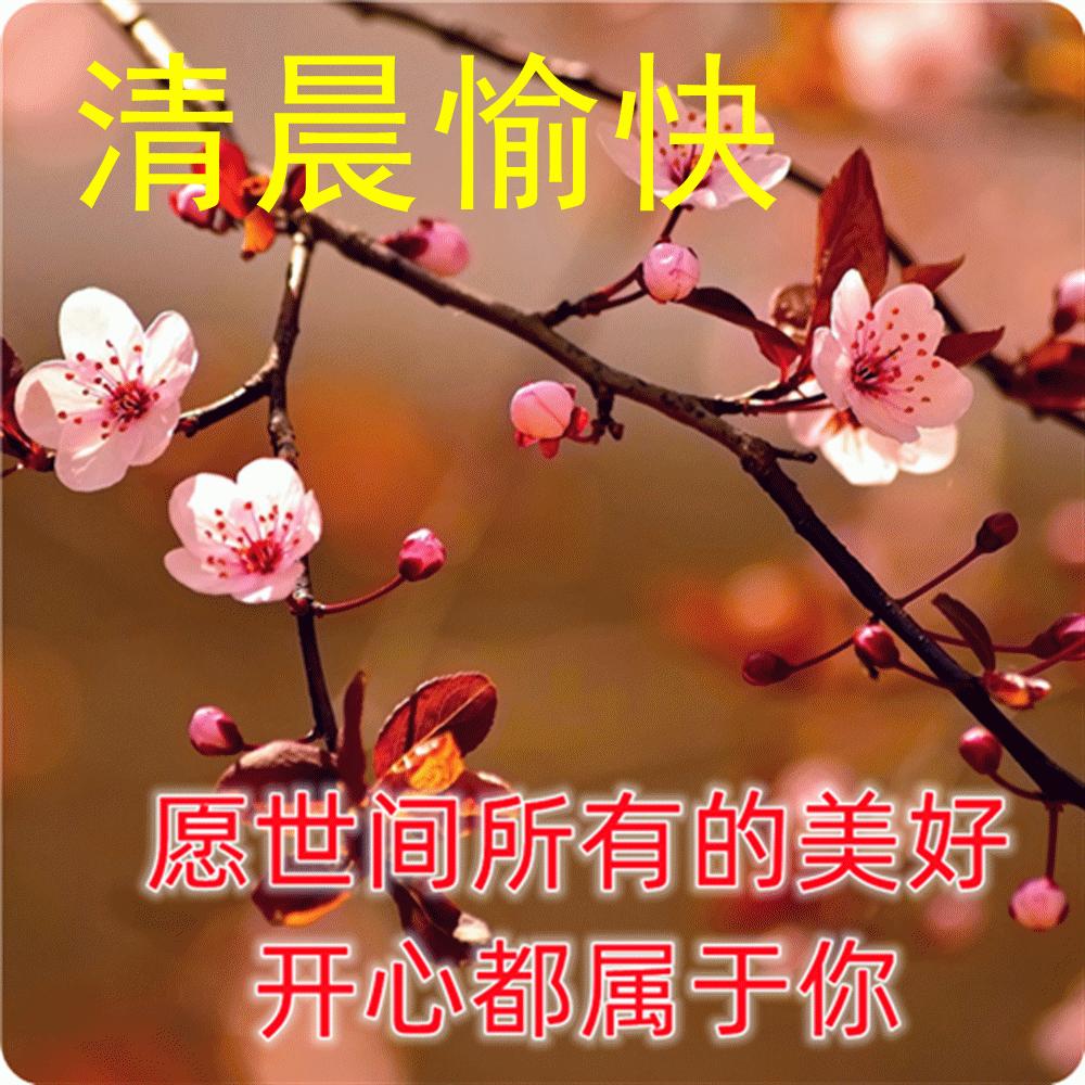 早晨阳光表情图片,秋季清晨非常漂亮早上好表情图片