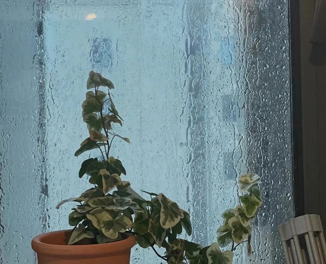 门窗渗漏分析,沃伦门窗渗水严重