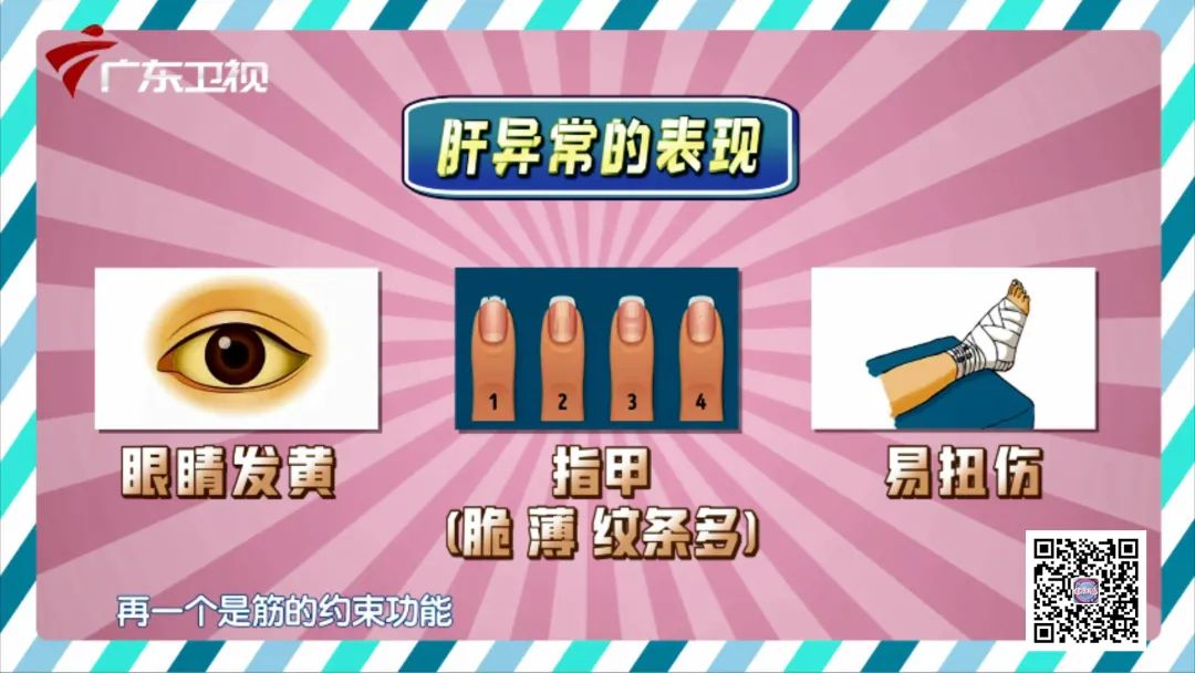 养脾胃养肝操,一茶一粥养胃方法