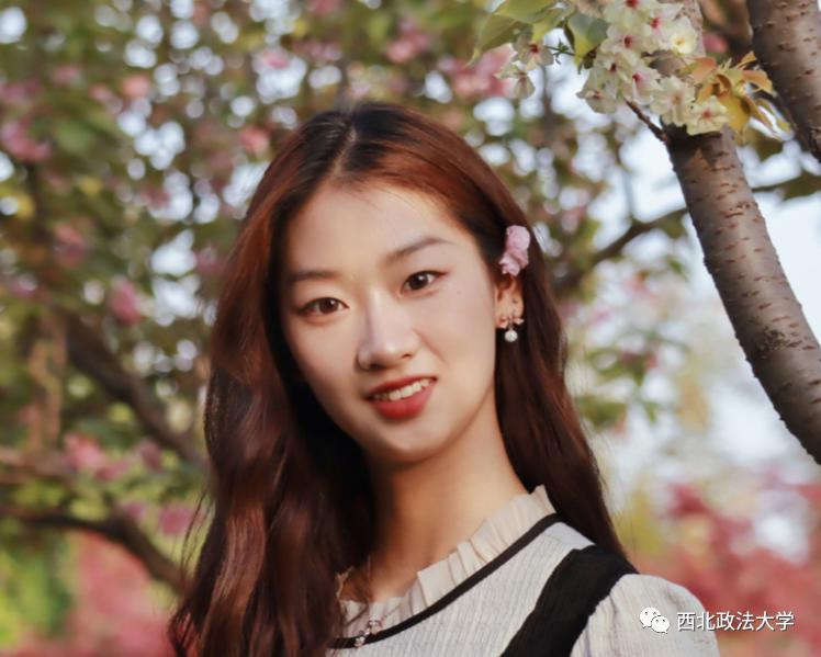 西法大到底是什么,西法大是什么意思网络用语