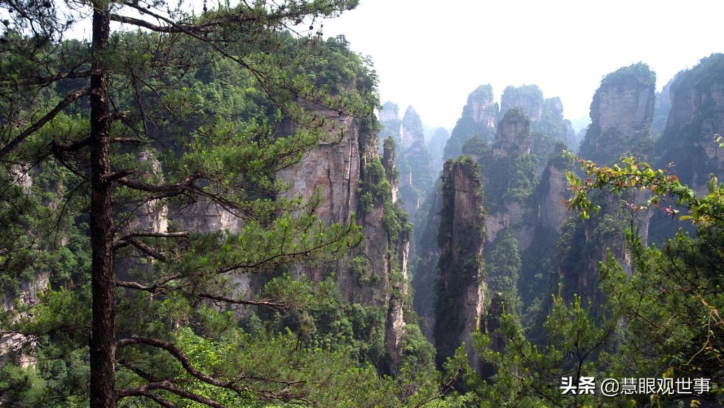 侯海洋基层风云完整,有声小说侯海洋基层风云完整版