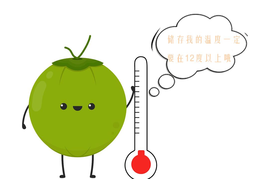 爱喝不爱喝椰子水的都要看过来，这个关乎你未来的生活