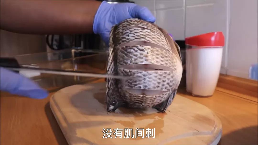 罗非鱼广东人爱吃,为什么美国人喜欢罗非鱼