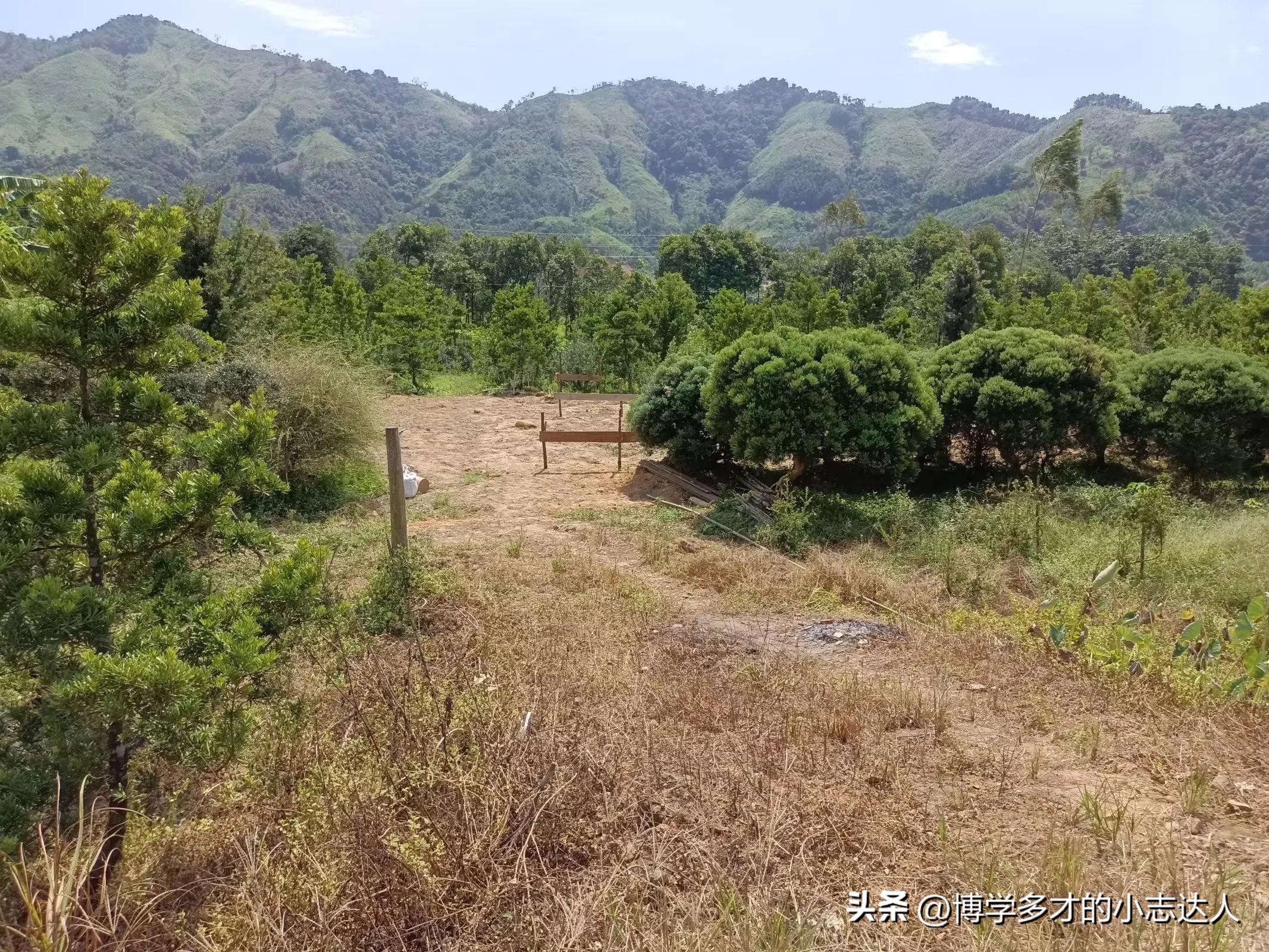 农村老宅基地盖房申请,农村自建房申请宅基地
