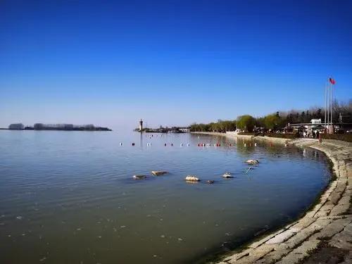 看洪泽湖的最佳地,洪泽湖简介