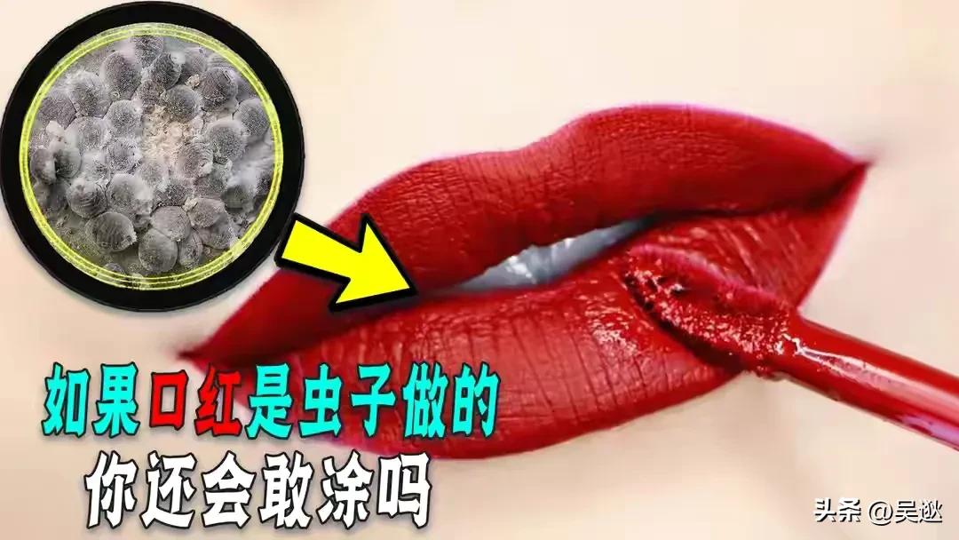 女生的口红竟然是虫子做的,美女口红里有虫子