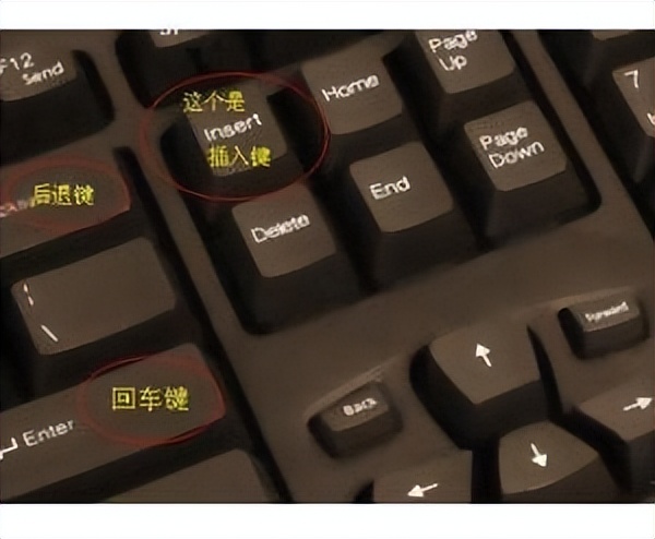新手要知道电脑的几个键位,电脑的各个键位
