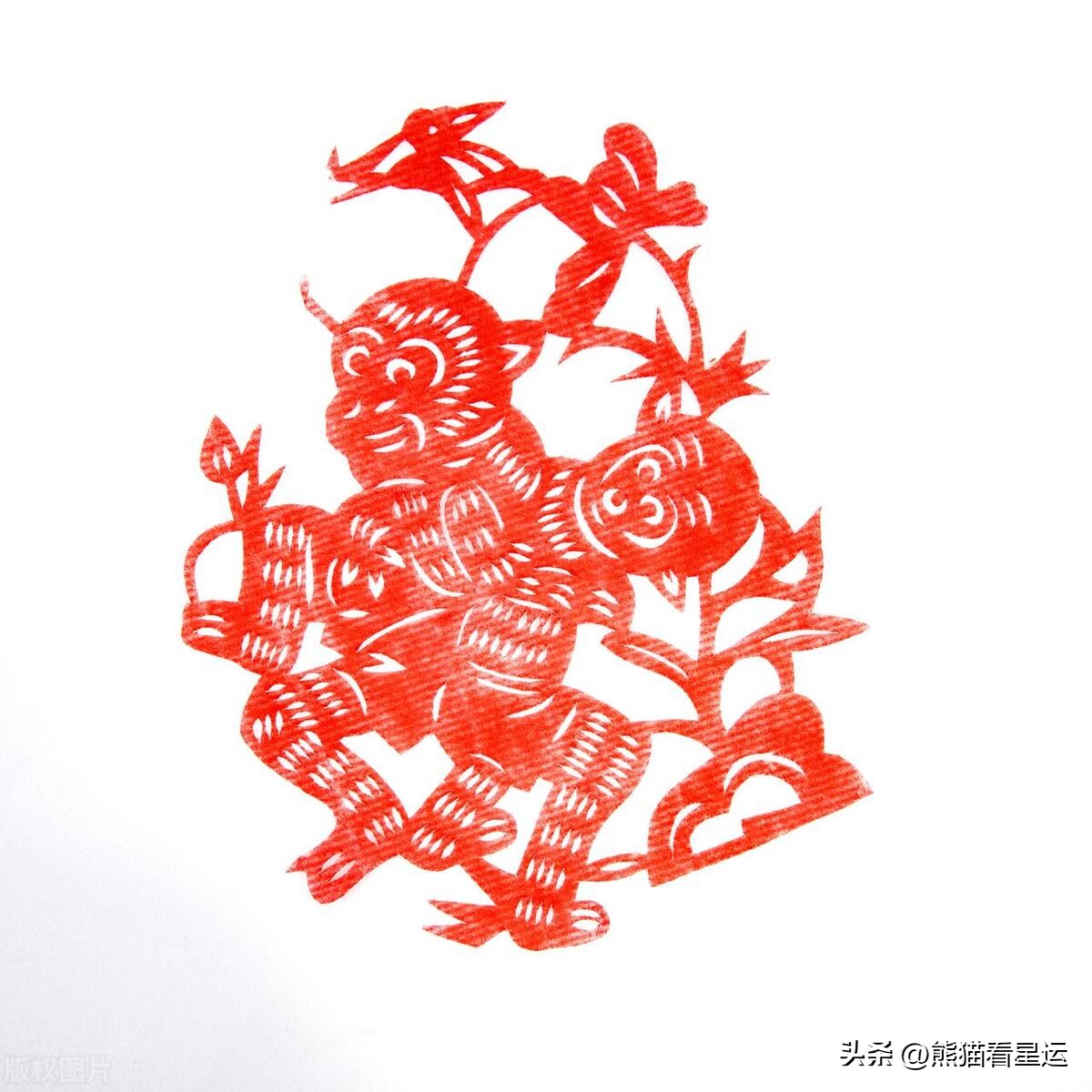 生肖猴的人聪明伶俐,2024年属猴的有哪些吉星和凶星