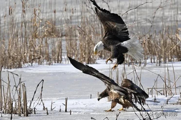 尼康z9拍摄,尼康z9拍摄人像