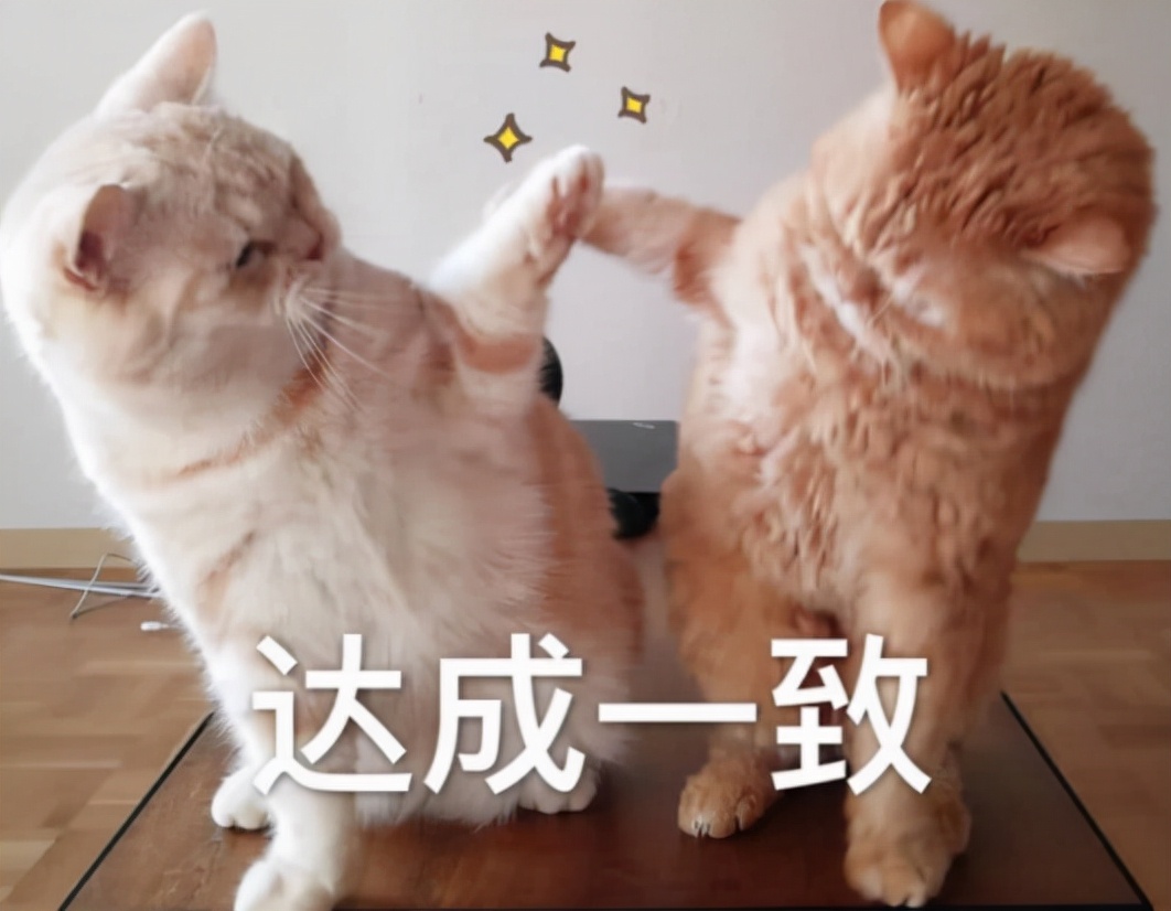 快乐大本营20年后,改版快乐大本营还是原先几个人吗