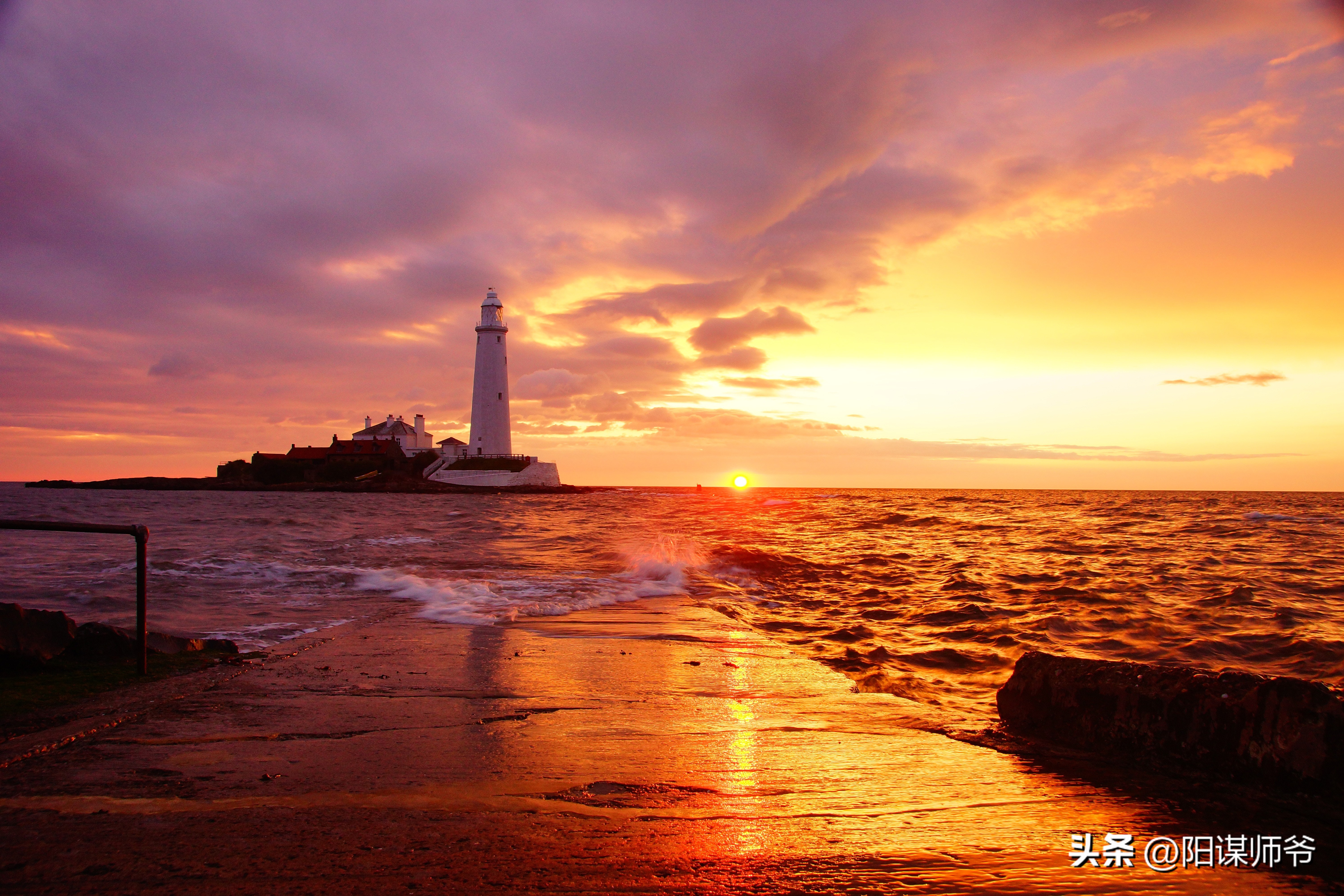 “教吸毒、给学生发5500条色情短”纽约变态女教师点燃社交媒体