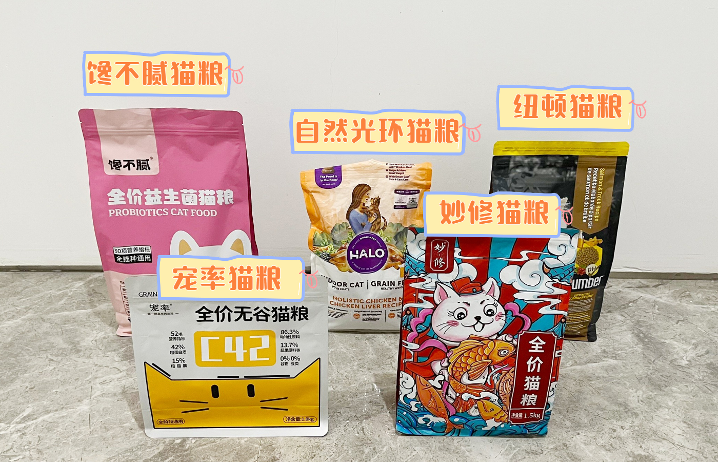 盘点那些特别反骨的猫,这6种猫堪称猫界渣王谁养谁吃亏