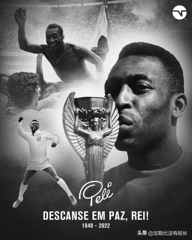 世界足坛十大庆祝故事,世界十大经典足球事件