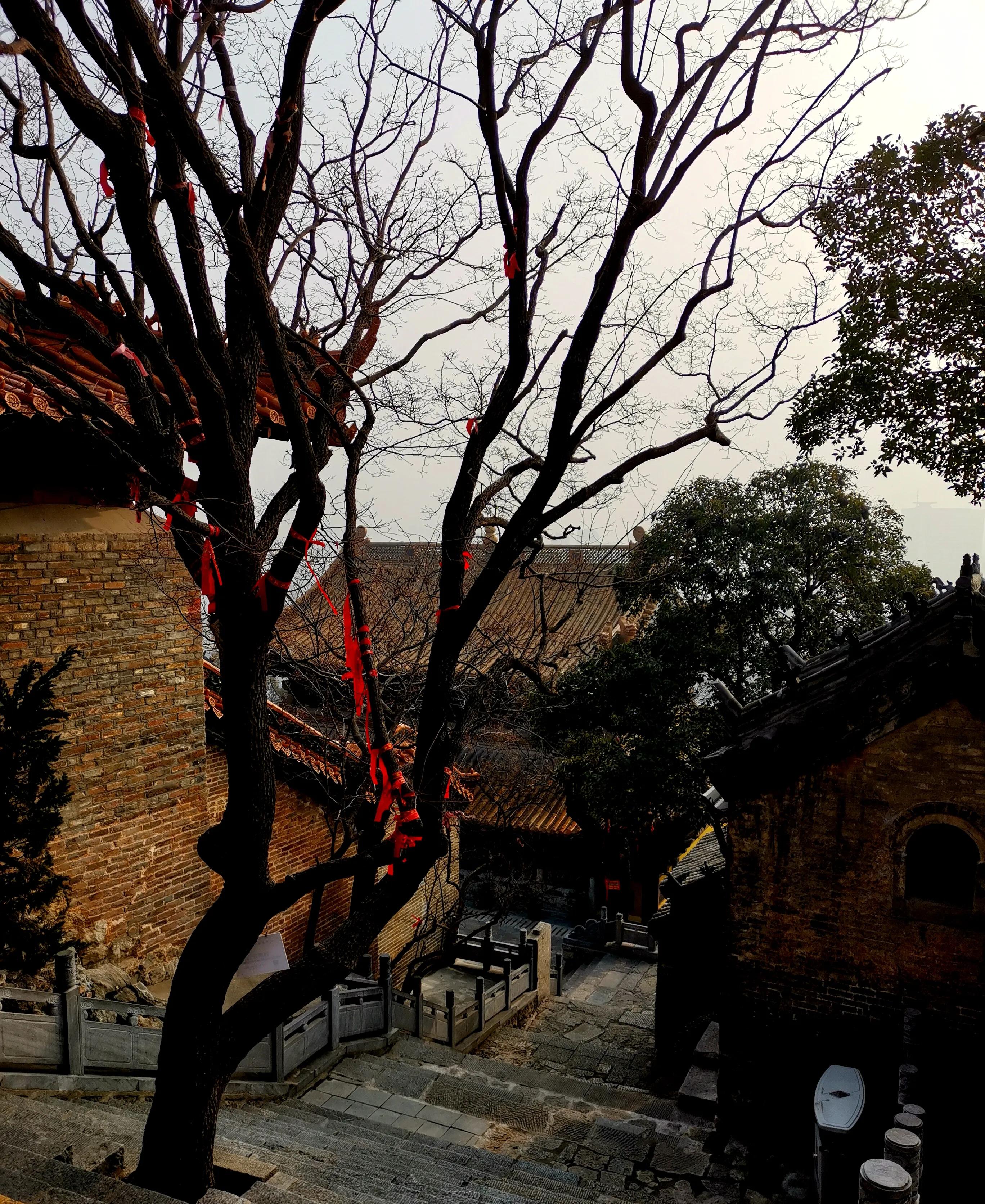 清心寡欲的诗,清心寡欲