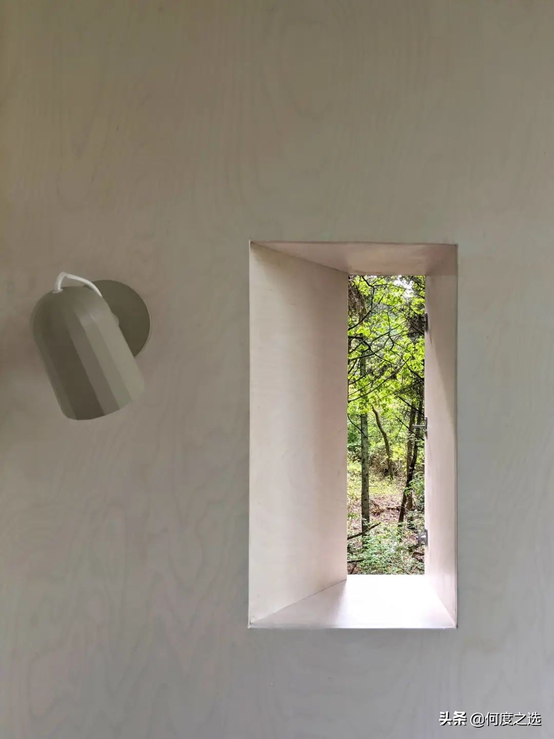 森林里的“树屋”：丹麦森林中建造的酒店，美到让人窒息