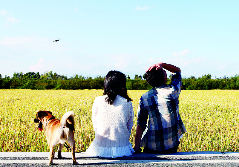 云南到底有多让人向往,云南到底有什么值得人们向往的