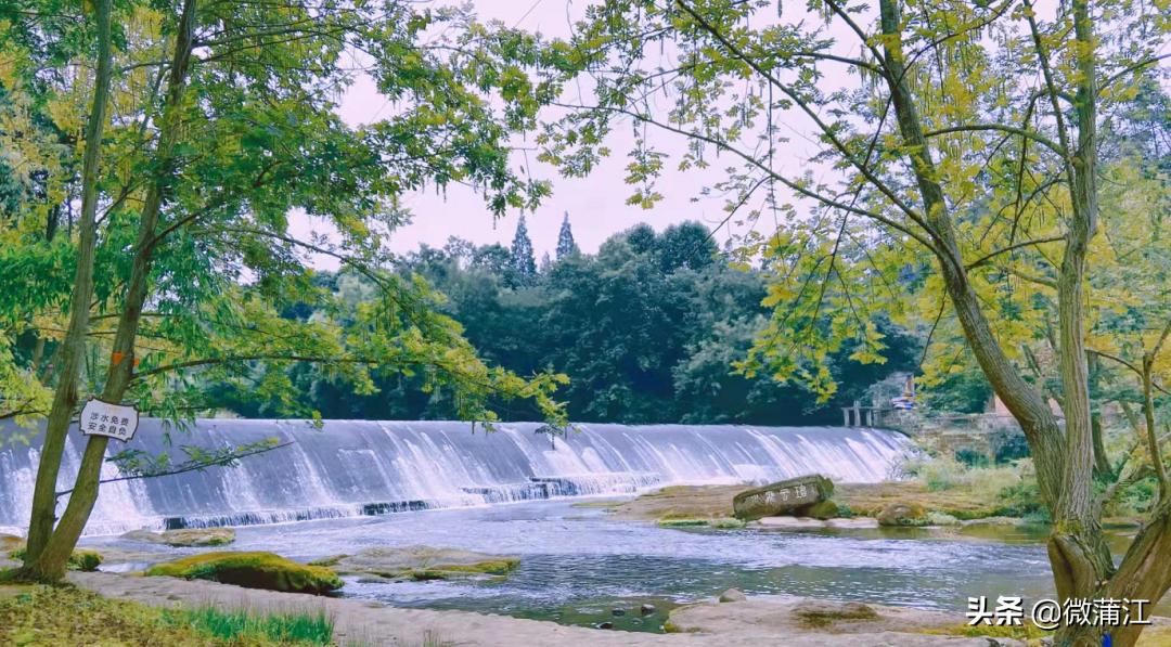 蒲江绿色生态屏障,蒲江县森林资源保护