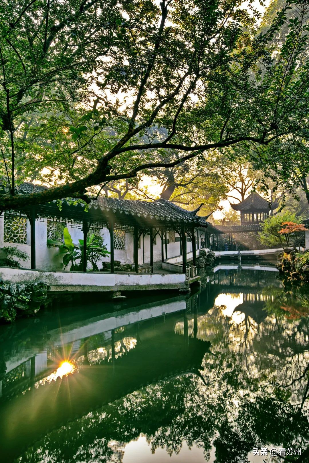 苏博本馆预约攻略,苏博本馆需要提前一天预约吗