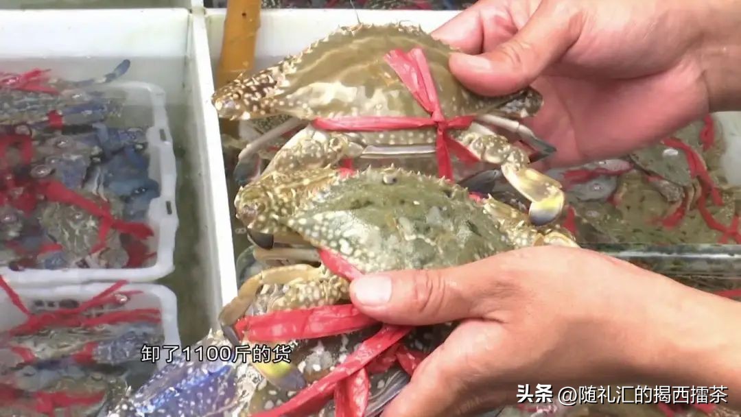 生猛海鲜即将回归你准备好了吗,一大波生猛海鲜即将来袭