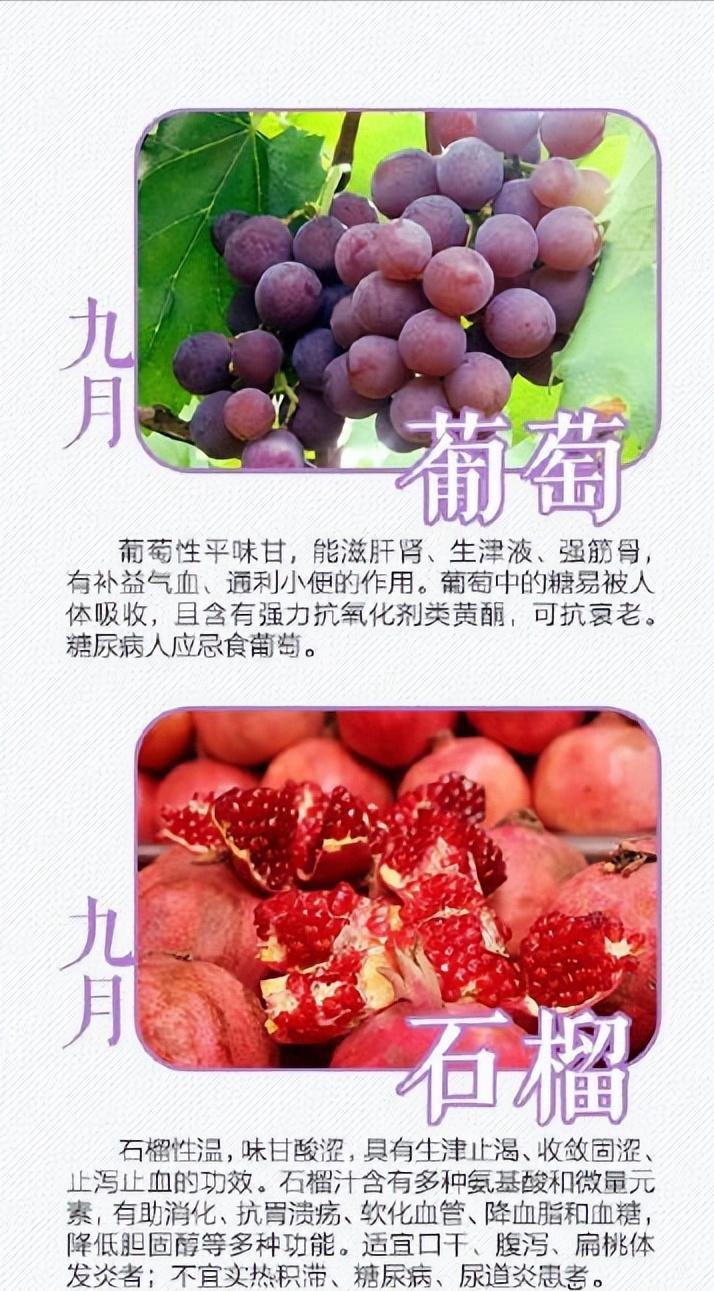 海南应季水果时间表大全,应季水果的最佳食用时间表