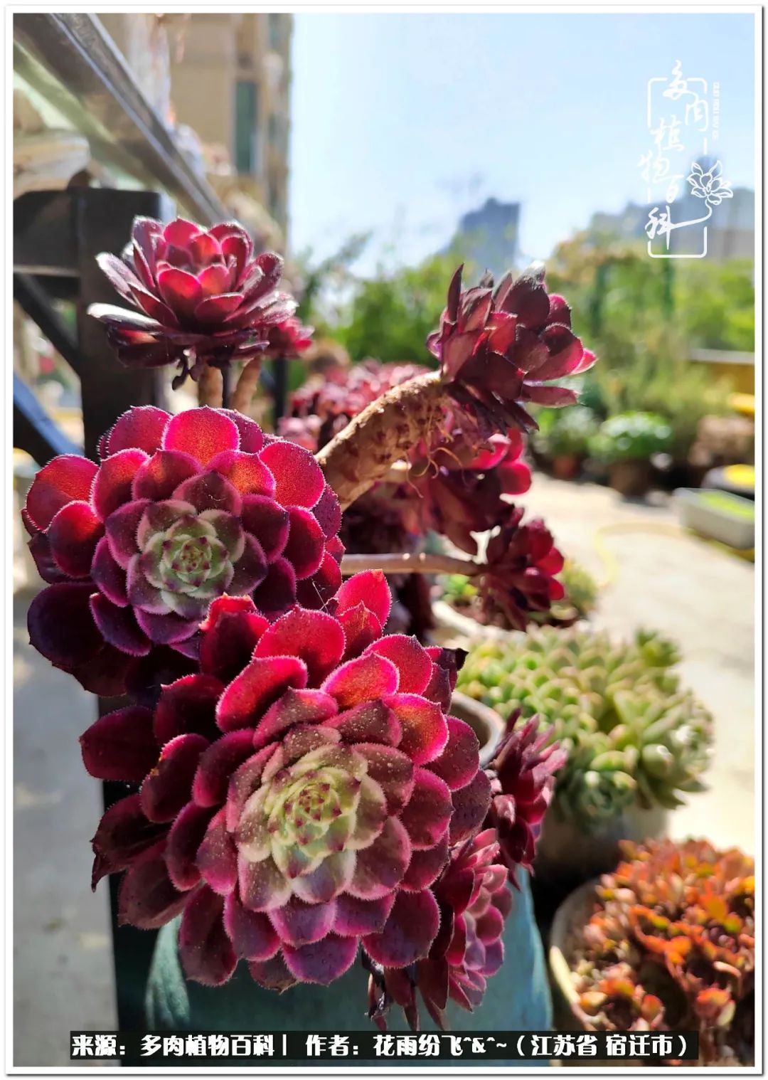 回味童年无忧无虑的快乐时光,童年最快乐的时光