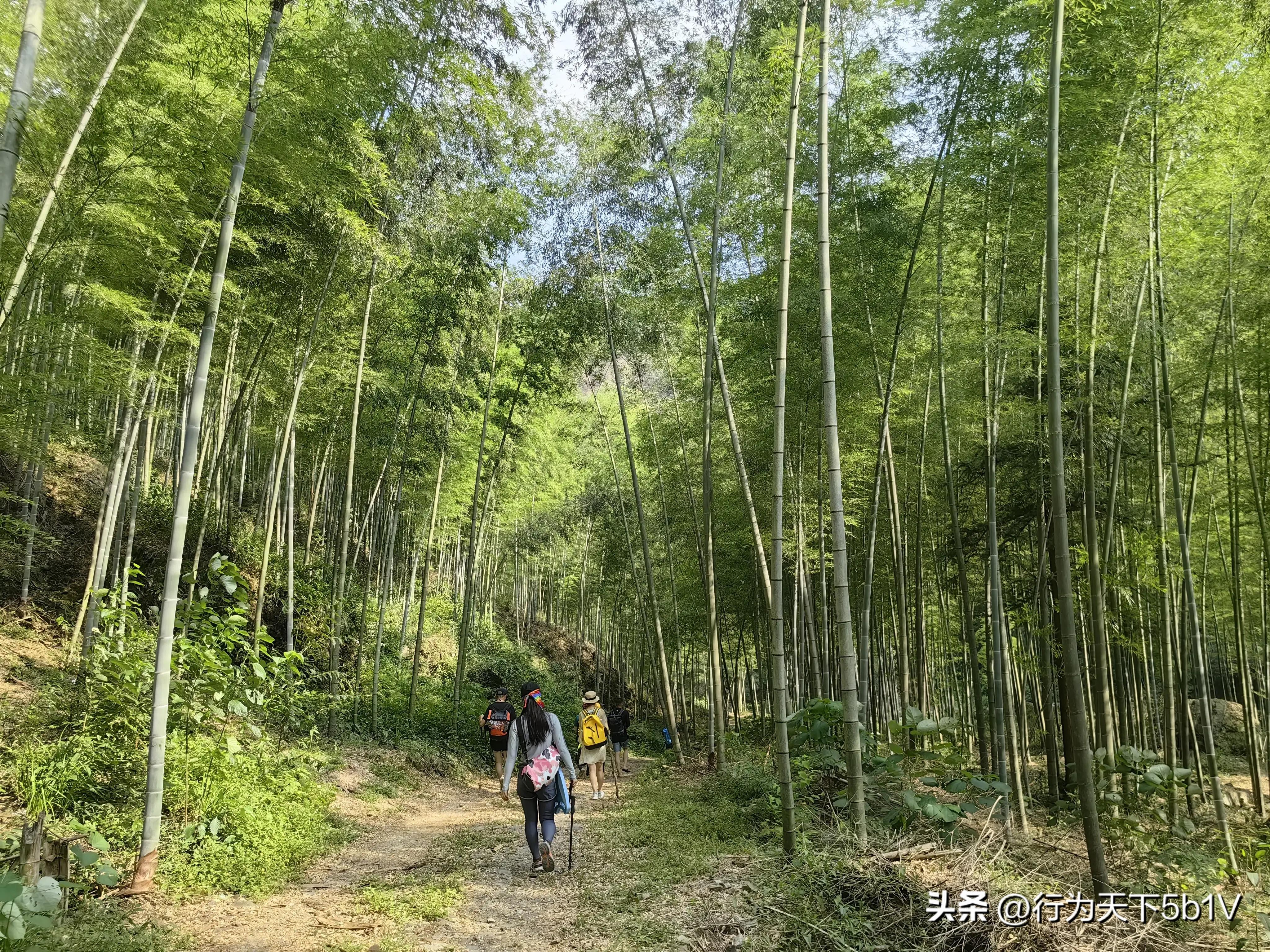 【探秘金紫山下的清凉秘境】行走在资源资江源大峡谷的风景线上