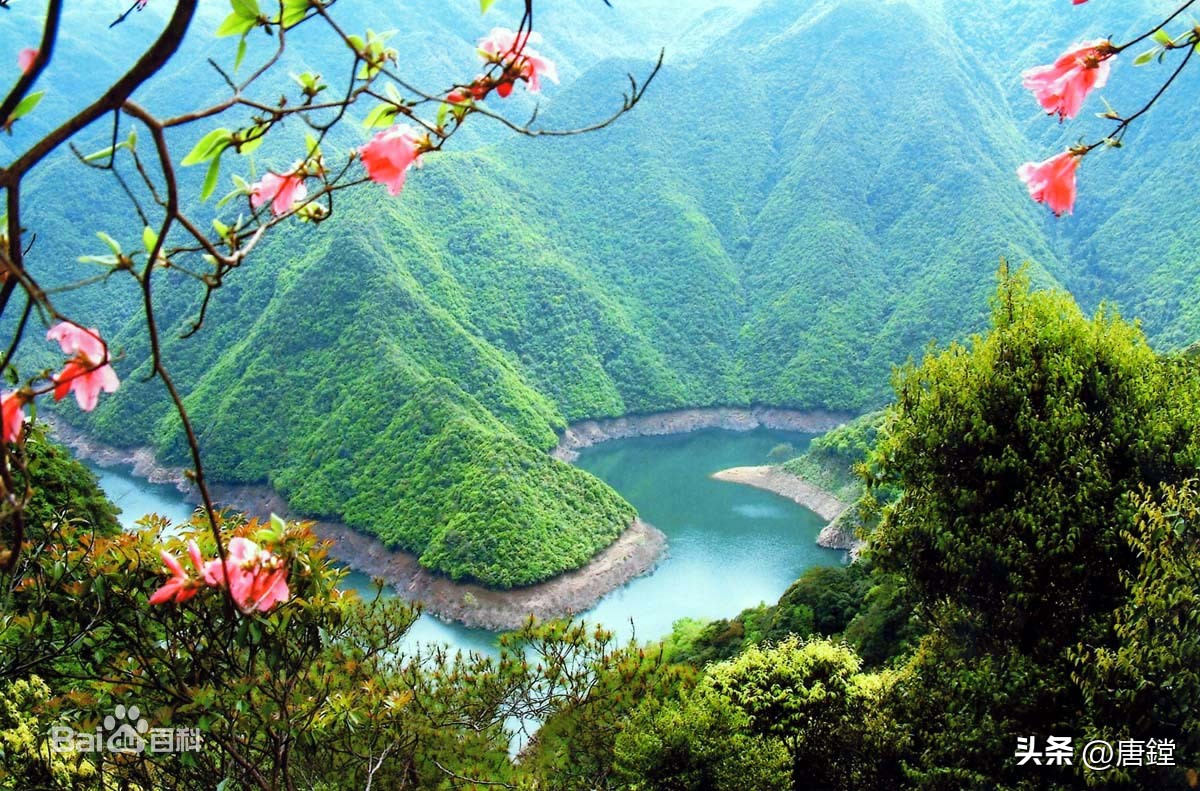 宁海县潘天寿,宁海名人潘天寿