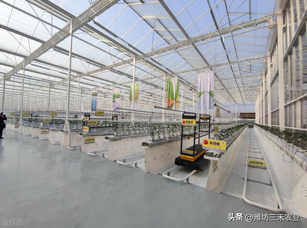 温室大棚的好处有哪些？温室大棚如何提高产量和利润