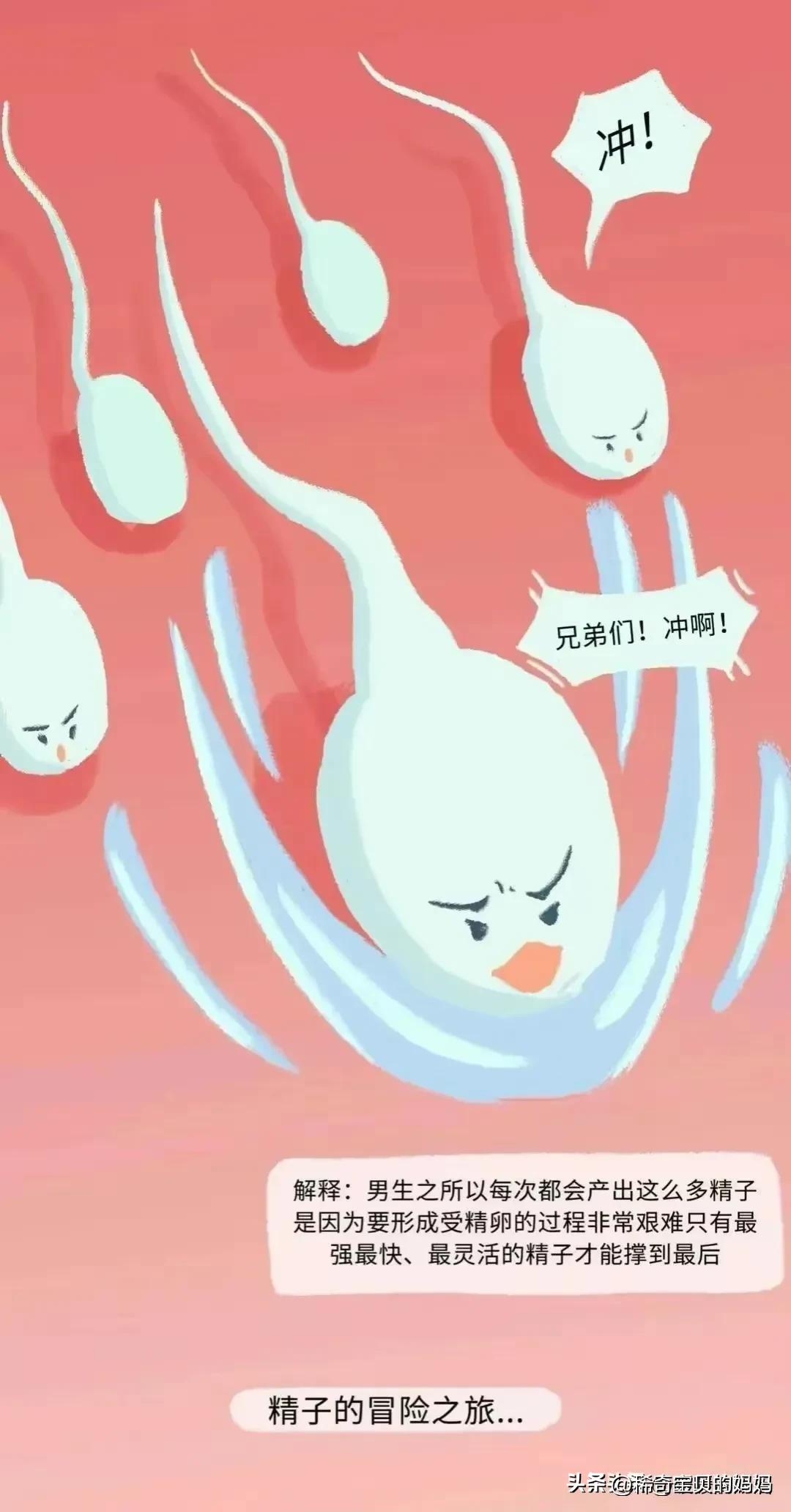 小蝌蚪漫画,科普知识小蝌蚪怎么成长为青蛙