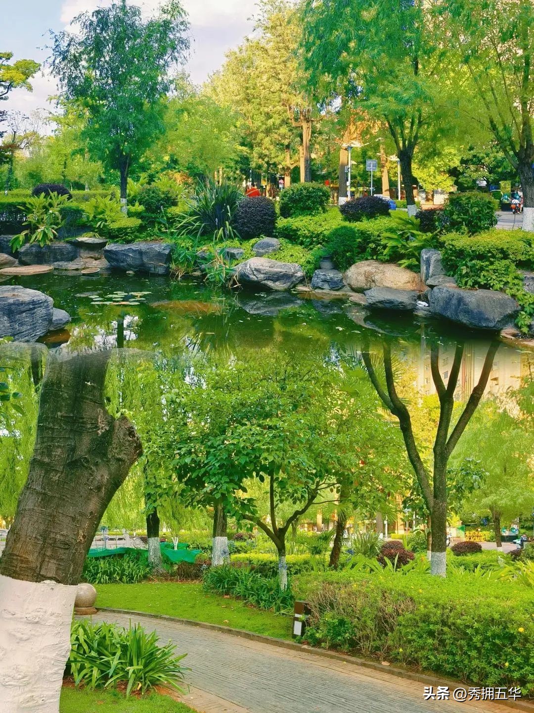 哇晒昆明|最爱为运动花钱的昆明人，有啥花样玩法？