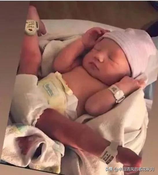 香港影星张柏芝,上海张柏芝的视频