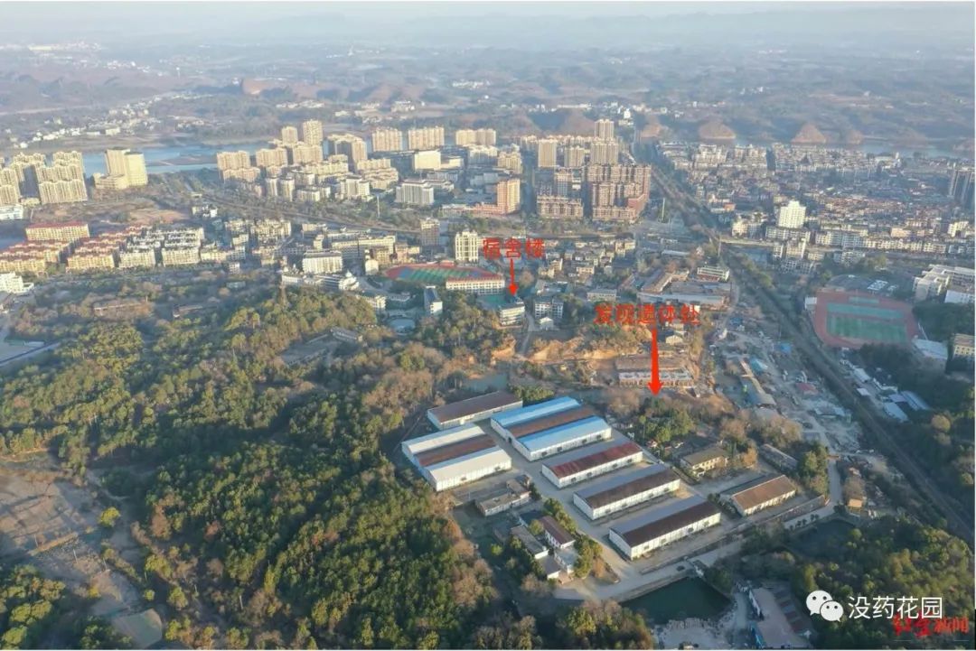 胡鑫宇事件最新通报自缢死亡,胡鑫宇死亡案真相