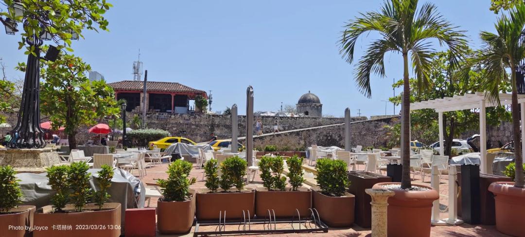 发现不一样的大自然读后感,发现不一样的精彩世界