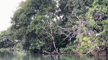 莆田首批水上巴士试运营,莆田水上巴士西洙码头