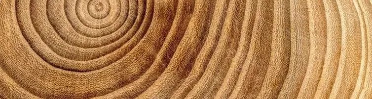 天格实木地板简约风格,大自然原木风地板推荐