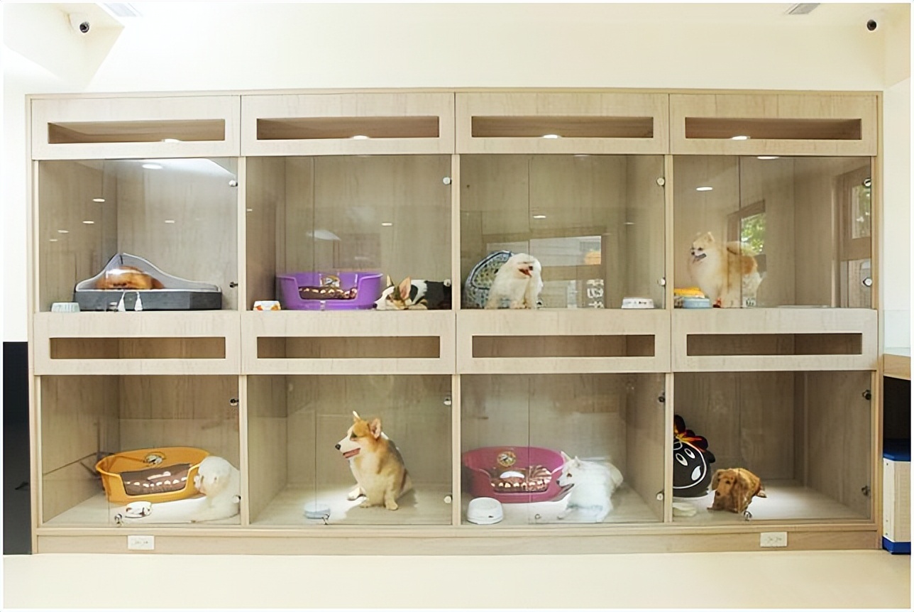 利润很吓人的冷门生意加工厂,义乌利润很吓人的冷门生意