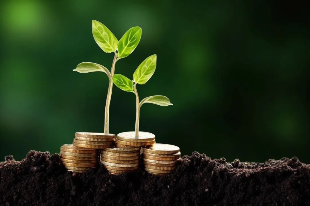 国金量化多因子股票型证券基金,国金量化多策略基金最新净值