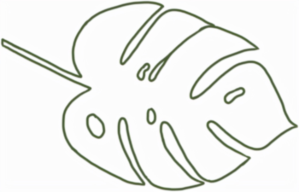 揭秘纯露的真面目,怎么判断纯露是不是纯正的