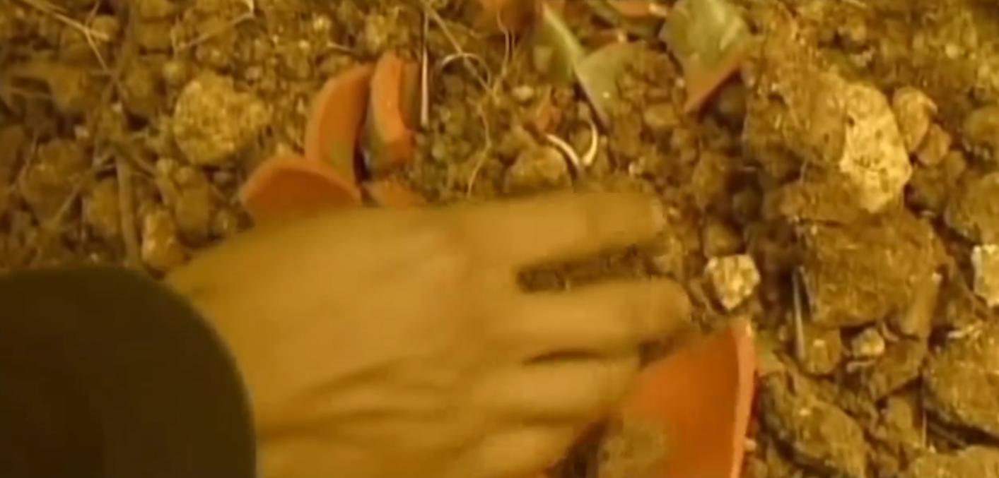 男子捡六十九枚金戒指,村民捡到67枚金戒指