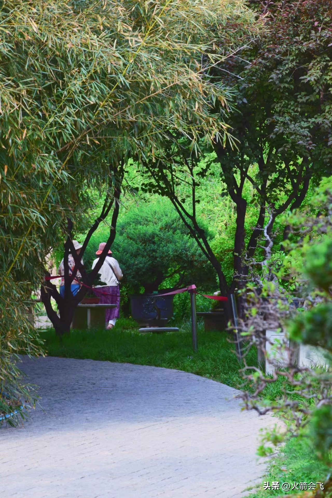 天津旅行攻略七日游价格多少,12小时极限游天津