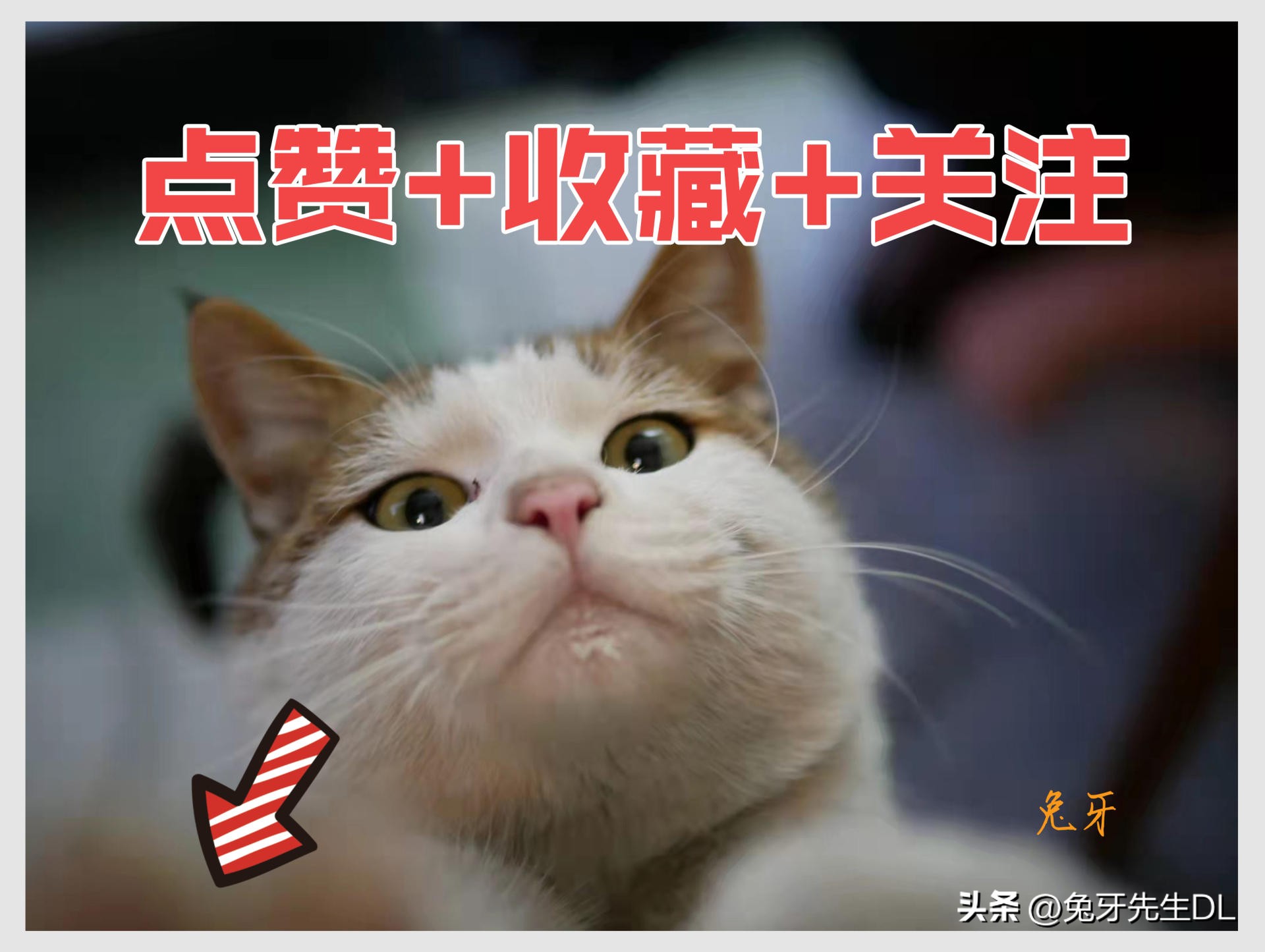 双11该买什么好物 (双11购物车必备清单)