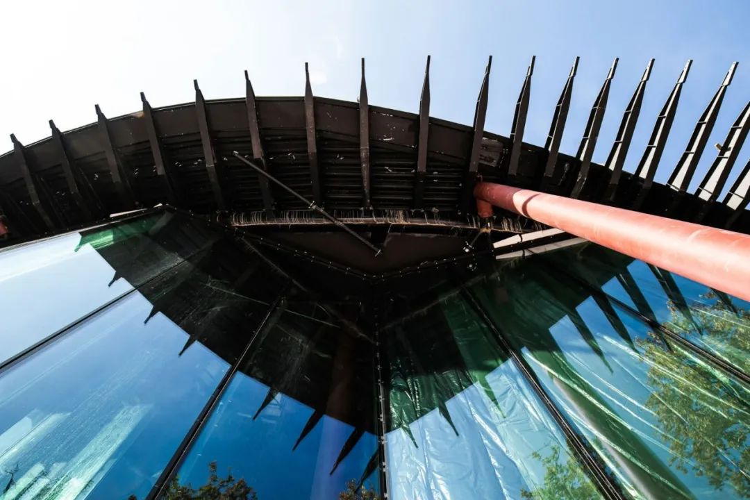 与藤本壮介一起走进金色叶子‘殿堂’，匈牙利音乐之家