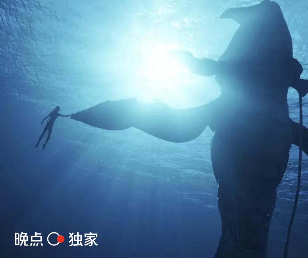 阿里电商新动态,阿里10年电商之路